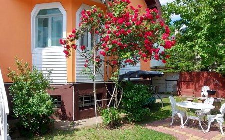 Laci Magánszállás Debrecen