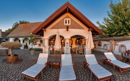 Provence Birtok Decs