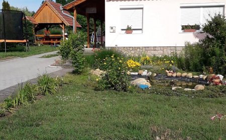 Tóth Vendégház Dejtár