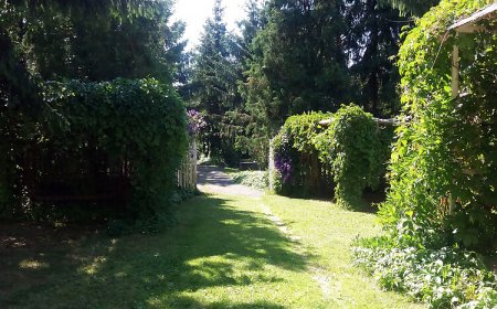 Nyugalom Szigete Apartmanházak Demjén