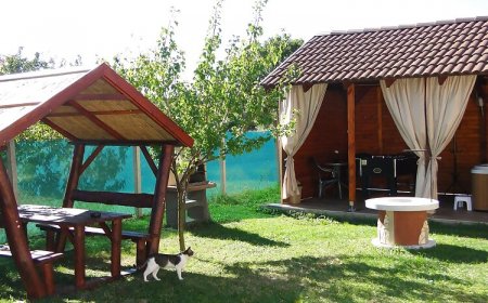 Vadrózsa Vendégház Demjén