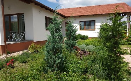 Vadlúd Vendégház Dinnyés