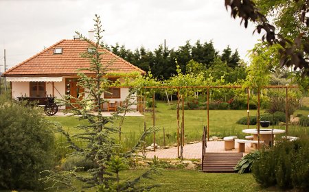 Angelika Vendégház Dinnyés