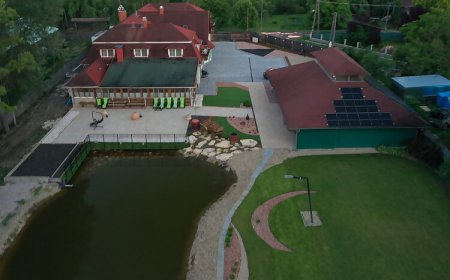 Békástó Panzió Diósjenő