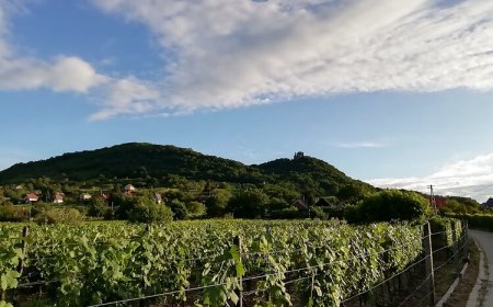 Irsai Szelence Vendégház Doba