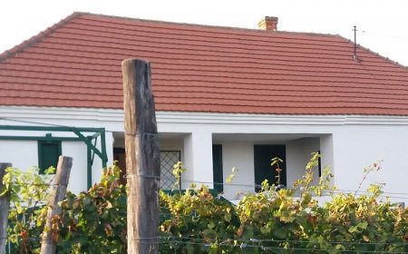 Szent Márton Vendégház Somló Doba