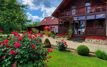 Dióliget Apartman Dudar