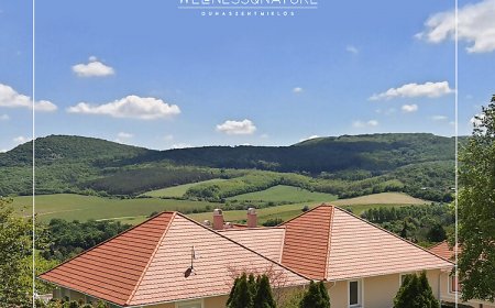 River Lux Apartman Dunaszentmiklós