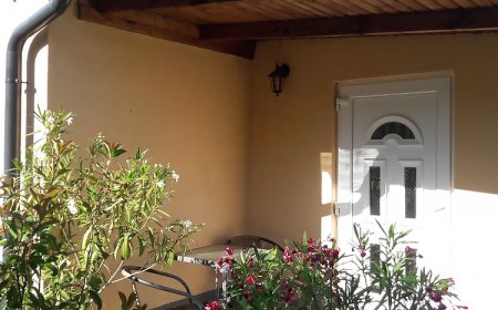 Fűzfa Apartman Ebes