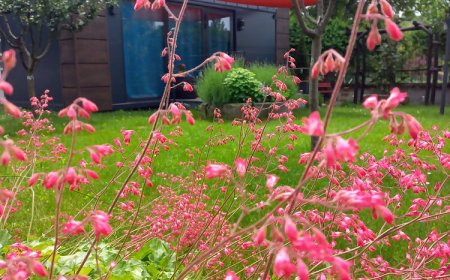 Rózsavölgy Vendégház és Vendégkert Szépasszonyvölgy Eger