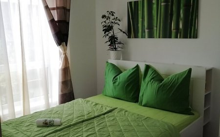 Green-leaf Apartman Eger