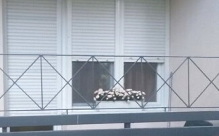 Ilona Apartman Eger