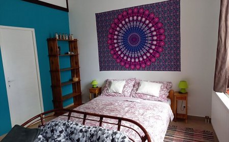 Esőerdő Apartman Eger