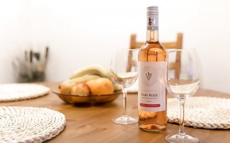 Sflower Apartman Eger