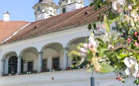 Forst-Ház Apartman Eger