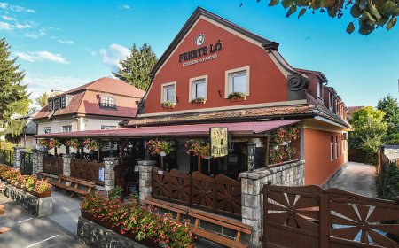 Fekete Ló Étterem és Panzió Eger