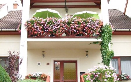 Siesta Vendégház Eger