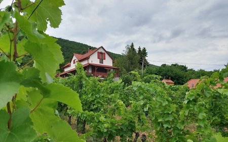 Szőlőcskei Vendégház és Pihenő Eger