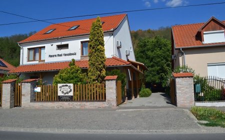 Fekete Rigó Vendégház Egerszalók