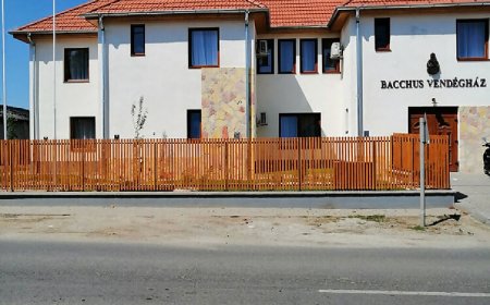 Bacchus Vendégház Erdőbénye