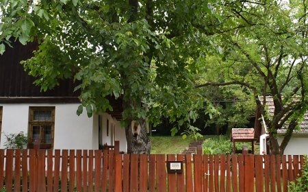 Kishidas Vendégház Erdőbénye