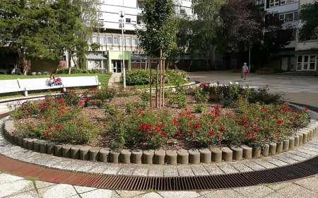 Csaba Szállás Esztergom