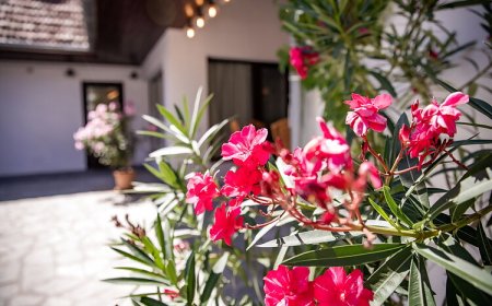 City-Top Vendégház Esztergom