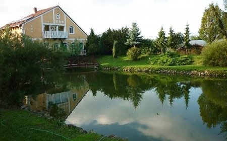 Áldos Wellness Panzió Farád