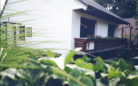 Vadszőlő Vendégház Farkasgyepű