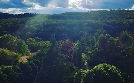 Forrás Hegyi Apartman Felsőörs