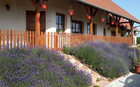 Mandulavirág Vendégház Felsőörs