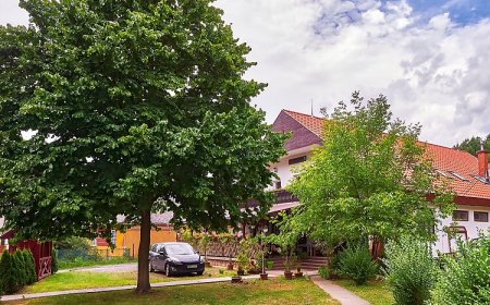 Gesztenyés Panzió Étterem Felsőtárkány