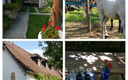 Derű Vendégház és Lovasudvar Fenyőfő