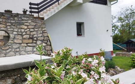 Holling Apartman Fertőboz