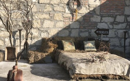 Madárlátta Vendégház Fertőrákos