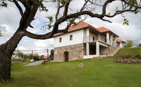 Babotsay Kúria Fony