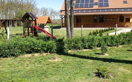 Kaptárlevegős Vendégház Füzesgyarmat