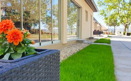 Pisztráng Kemping Gárdony