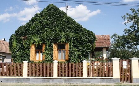 Karát-lak Vendégház Gersekarát