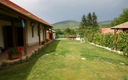 Tulipános Vendégház Golop