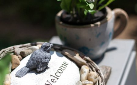 Bed and Breakfast Gödöllő