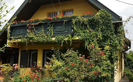 Trófea Apartman Gyenesdiás