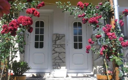 Pere Apartman Gyenesdiás