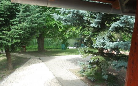 Horgász Nyaraló Gyomaendrőd