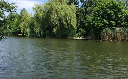 Boglárka Horgásznyaraló Gyomaendrőd