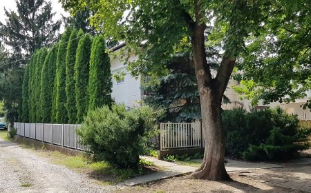 48-as Vendégház Gyopárosfürdő
