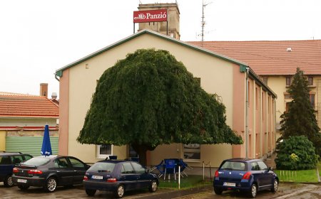 Malomudvar Panzió és Rendezvényház Gyöngyös