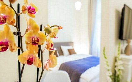 Eden Center Home Győr