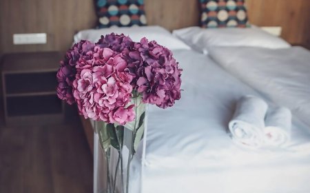 Dreko Panzió és Borbisztró Győrújbarát