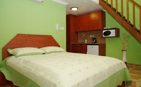 Nefelejcs Apartman Gyula